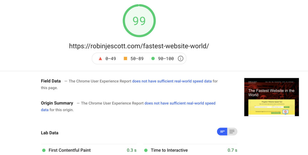 Fastest website? This is the PageSpeed Insights score